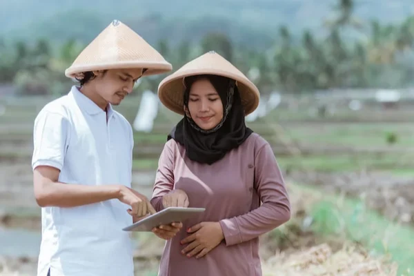 blog Dari Tanam Hingga Panen, HARAKA Pastikan Petani Tak Sendiri