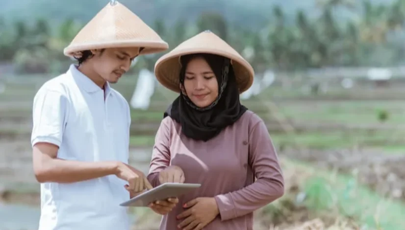 blog Dari Tanam Hingga Panen, HARAKA Pastikan Petani Tak Sendiri