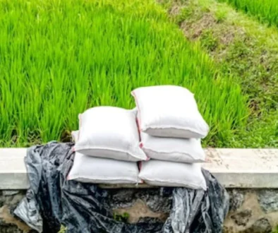 blog Petani HARAKA Kurangi Pupuk Kimia 40% dengan CAS dan PROTEK-tan